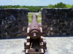 cannon 1